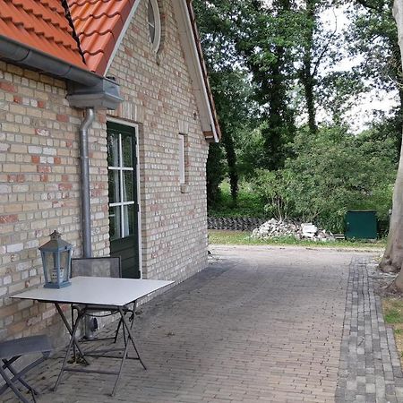 De Waterjuffer Bed and Breakfast Elim Exteriör bild
